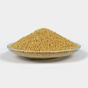 겨자씨 백개자 백계자 250g