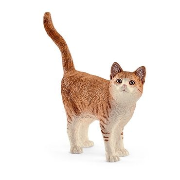 슐라이히 고양이