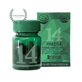 녹차 카테킨 알로에 체지방 복부지방 감소 다이어트 보조제 42캡슐
