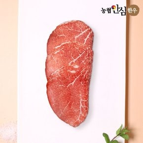 [농협안심한우][냉동]1등급 한우 홍두깨살 육전용 200g