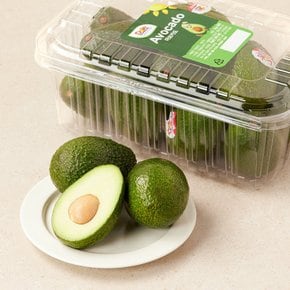 페루산 아보카도 2kg (10~14입) 팩