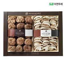 혼합버섯세트1호(흑화고200g+표고절편150g)