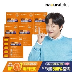 내츄럴플러스 리포좀 영국산 비타민C 500 60정 6박스(12개월분) / 리포조말 비타민씨