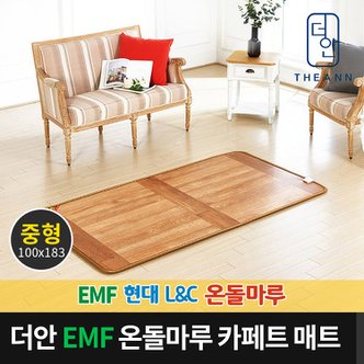 SAPA 더안 EMF 대청 온돌마루 전기 카페트매트 중형 100x183cm