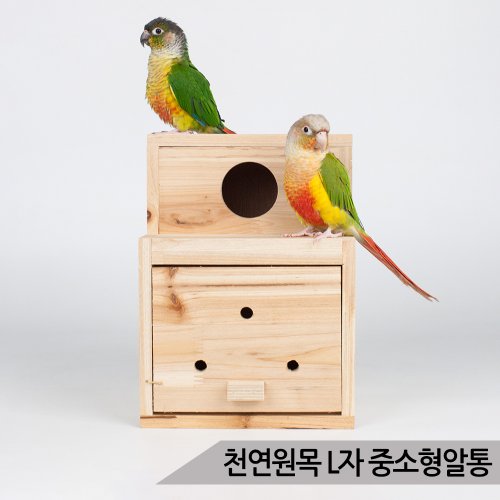 이미지1