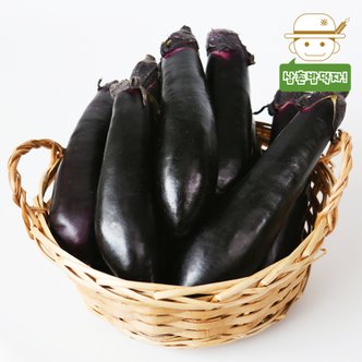  [삼촌농장] 우리땅에서 자란 제철 컬러푸드 가지 3kg