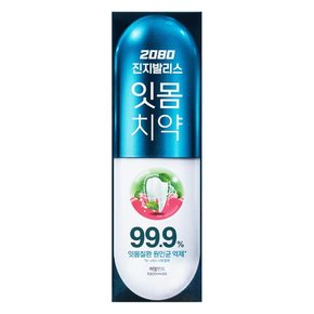 2080 진지발리스 치약 허벌민트 120g X 1개