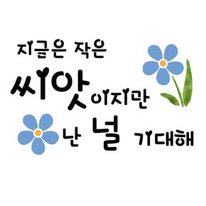 스텐실 도안(ST-3313)지금은 작은