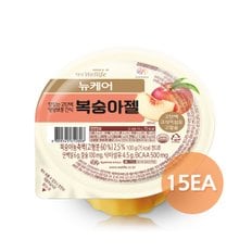 무료배송 대상웰라이프 뉴케어 복숭아젤 100g x 15개