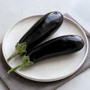 산지직송 싱싱한 국내산 가지 2kg