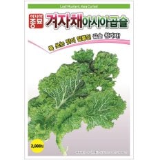 아시아종묘 씨앗 겨자 아시아곱슬 120g