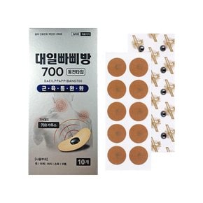 대일 빠삐방700  10개입 자석파스 자기발생기
