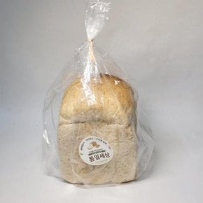 [통밀세상] 통밀빵 천연발효 통곡물 통밀식빵 450g (6952142A)