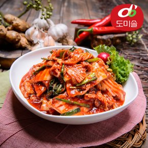 박미희 맛있는 싱싱생생 맛김치 2kg