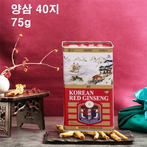 6년근 양삼40지 75g 고급홍삼/뿌리삼/말린홍삼 캔삼천삼지삼건강식품건강기능식품선물