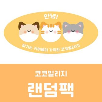 텐바이텐 10,000원 랜덤팩 (씰스티커 6장 + 리무버블 1장)