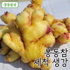 [봉동들녘]국내산 봉동참 세척 생강 10kg