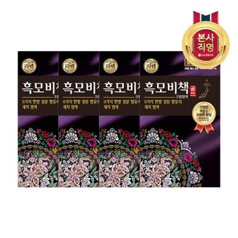 엘지생활건강 리엔 흑모비책 골드 염색약 짙은갈색 90G x4개