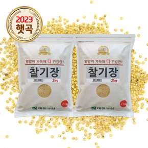 대한농산 국산 찰기장 4kg(2kgx2봉)