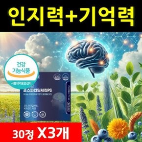 포스파티딜세린 인지력 PS 아연 포스타티딜세린 NON-GMO 항산화 면역 항산화