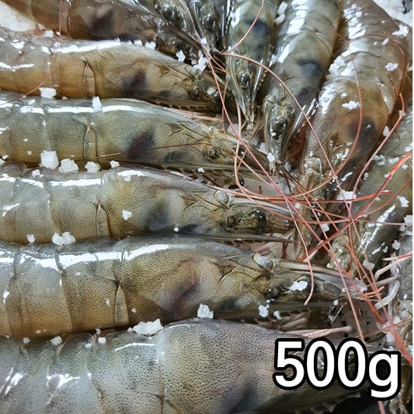 확대된 대표 상품이미지1