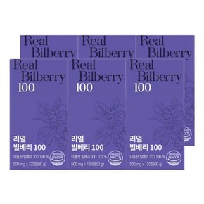 [이롭핏] 리얼 빌베리 100 120정 X 6박스