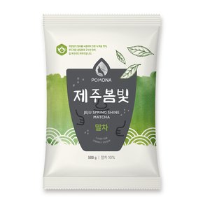 제주 봄빛 말차 파우더 500g