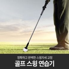 혼시티 골프 스윙 연습기 블랙