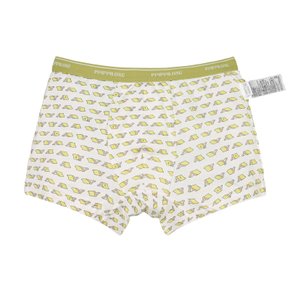 PPIPPILONG 아동팬티 모달스판 유아 아동 드로즈 사각팬티 PL FW69-19