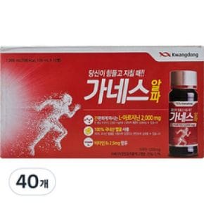 광동 가네스 알파 100ml 40개 숙취해소제 음료 헛개