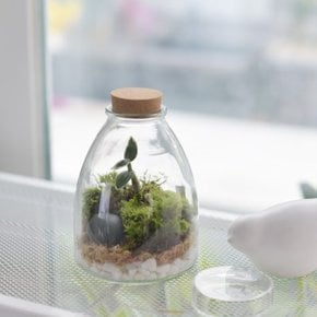 이끼 가든 테라리움 백투더퓨처 Eco-Bottle 2.1