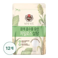 [G] 백설 하얀 자일로스설탕 500g X12개