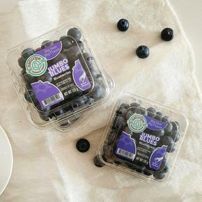 칠레산 생 블루베리(14mm) 팩당 125g내외 x 5팩