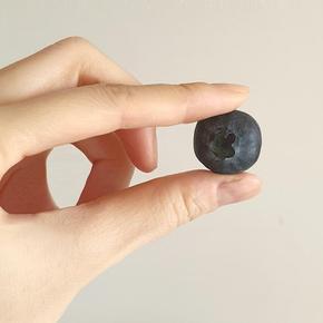 칠레산 생 블루베리(14mm) 팩당 125g내외 x 5팩