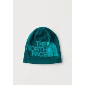 The North Face 더 노스 페이스 리버서블 하이라인 유니섹스 - 비니 청록색/에버그린 8082306