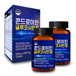 콘드로이친 글루코사민정 500mg x 60정 2개 4개월분