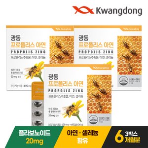 내츄럴플러스 광동 프로폴리스 아연 60캡슐 3박스(6개월분) / 플라보노이드 셀레늄