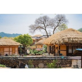 [연합상품] 영주/안동 2일 선비이야기 소수서원 부석사 하회마을 황금나무와 여행친구들