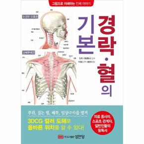 경락혈의 기본 : 그림으로 이해하는 인체 이야기