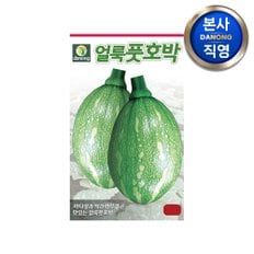 얼룩 풋호박 씨앗 60립 . 야채 채소 텃밭 파종 재배 주말 농장 씨 종자