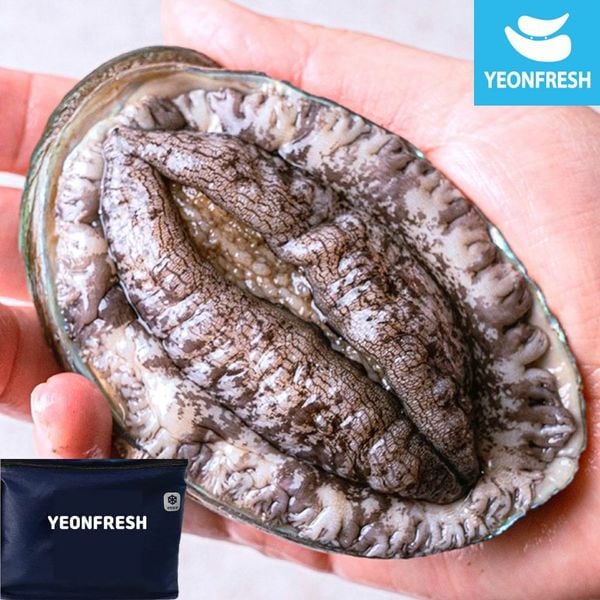 확대된 대표 이미지 P