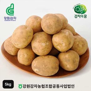 강원특별자치도 특등급 햇 감자 5kg[34633325]