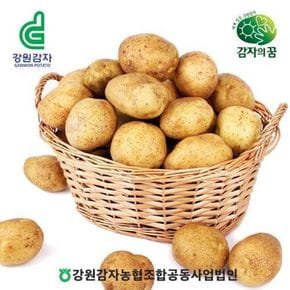 강원특별자치도 특등급 햇 감자 5kg[34633325]