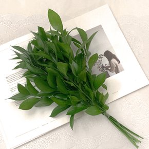 [리블라썸] 생화 루스커스 유스커스 꽃배달 꽃배송 기념일 자취선물