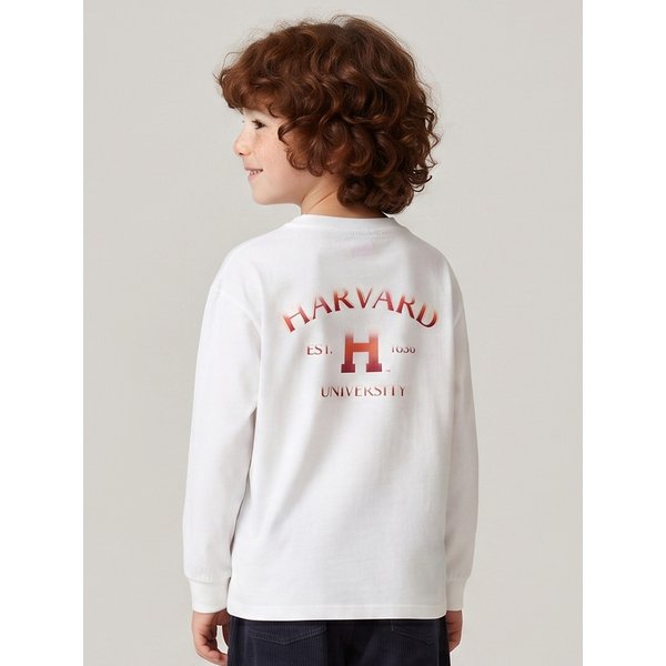 추가4이미지