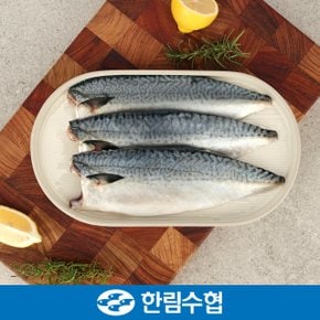 [제주 한림수협] 제주직송 제주 순살 고등어 15팩(1팩당 180g) / 냉동