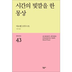 시간의 빛깔을 한 몽상 - 마르셀 프루스트  : 세계시인선 리뉴얼판 43