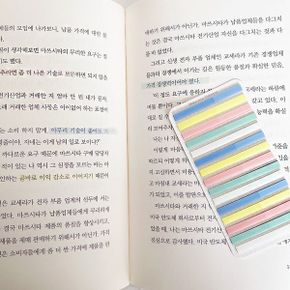 툴러 독서용 파스텔 미니 플래그