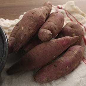 [유명산지] 해남 세척 꿀 밤고구마 3kg 특상