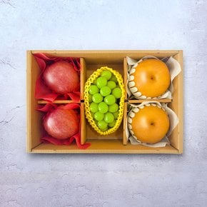 추석 설 명절 혼합 과일 선물 [C01]사과 배 샤인 세트